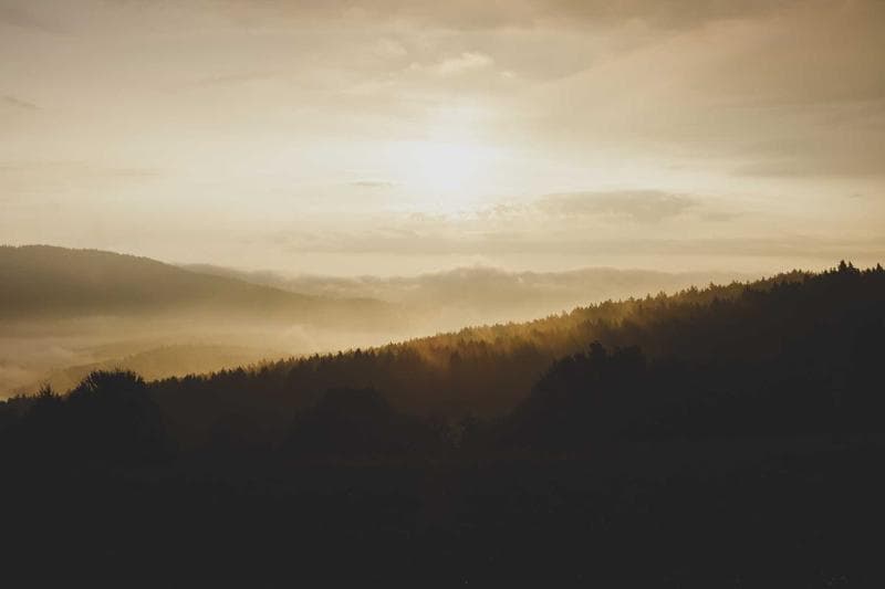 Golden hills