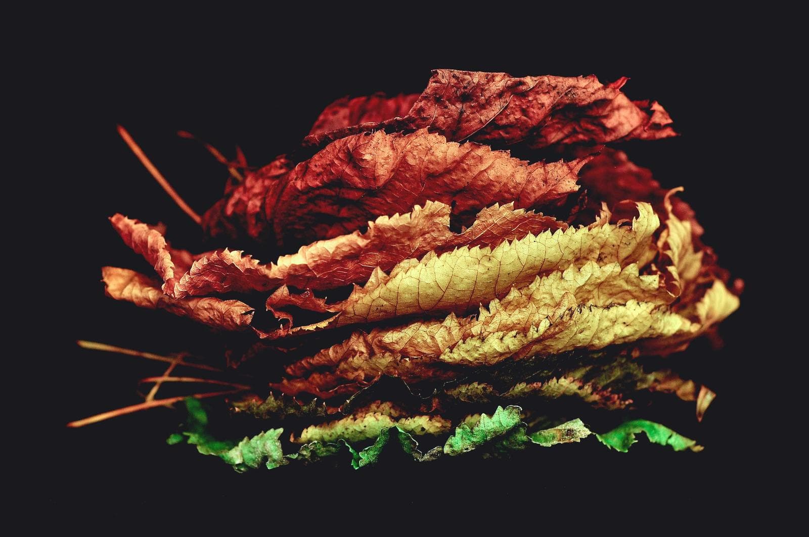 Shellfish