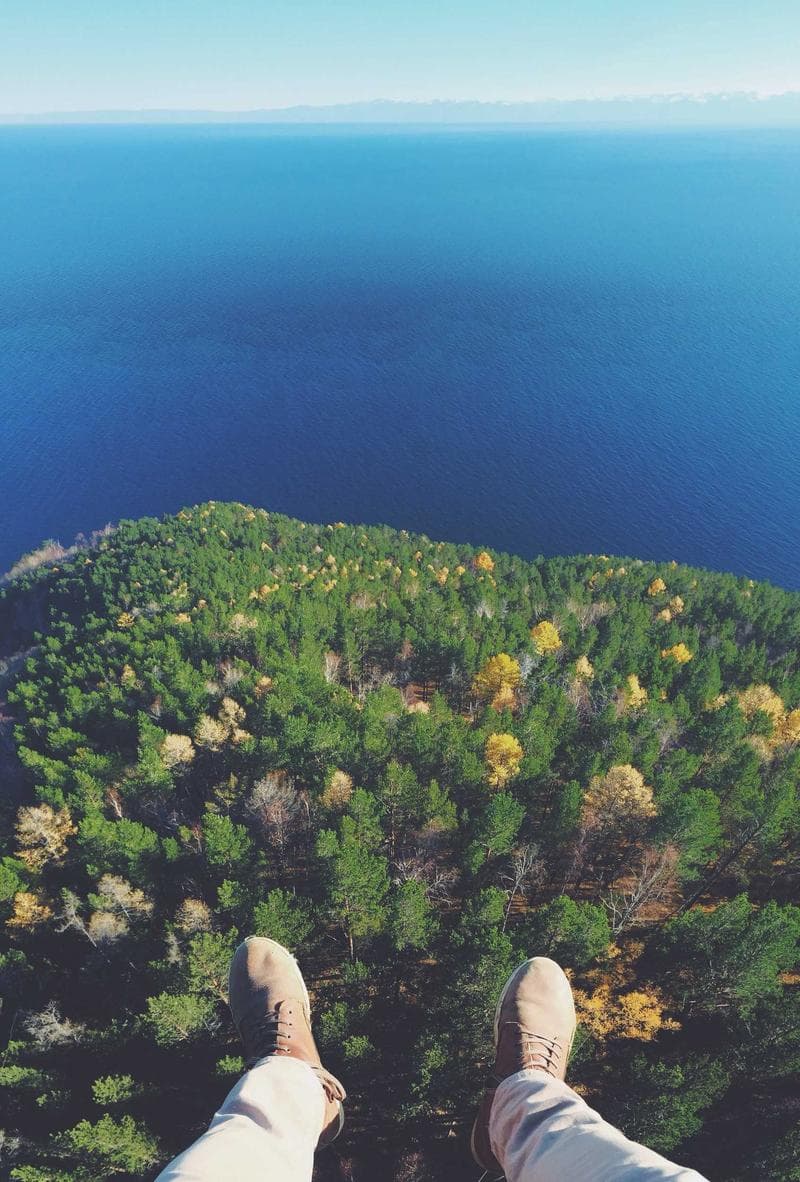 Forest from above