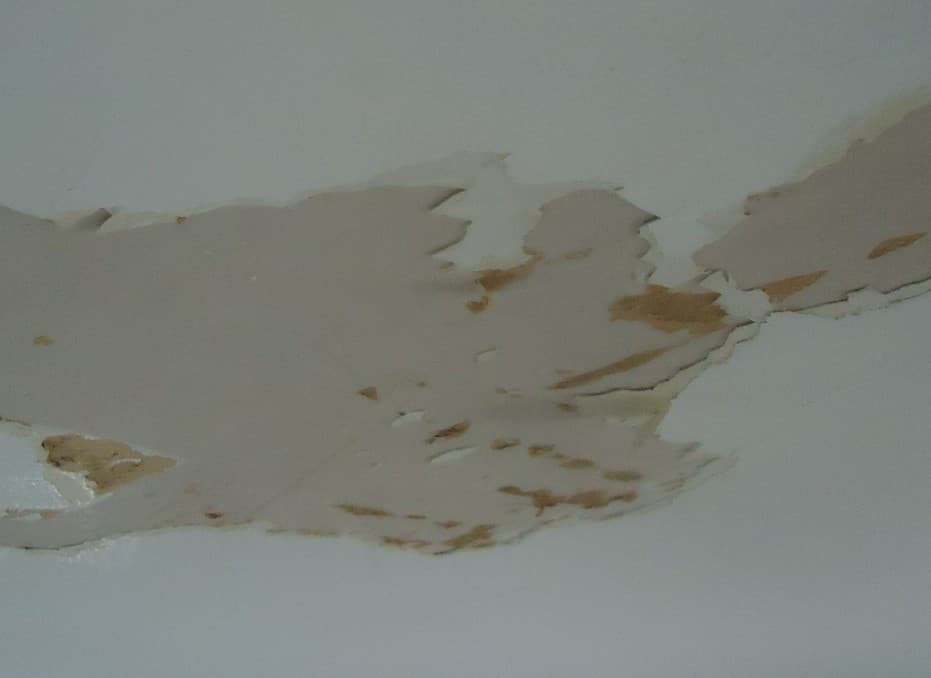 Ceiling sheetrock damaged by water so paint was peeling