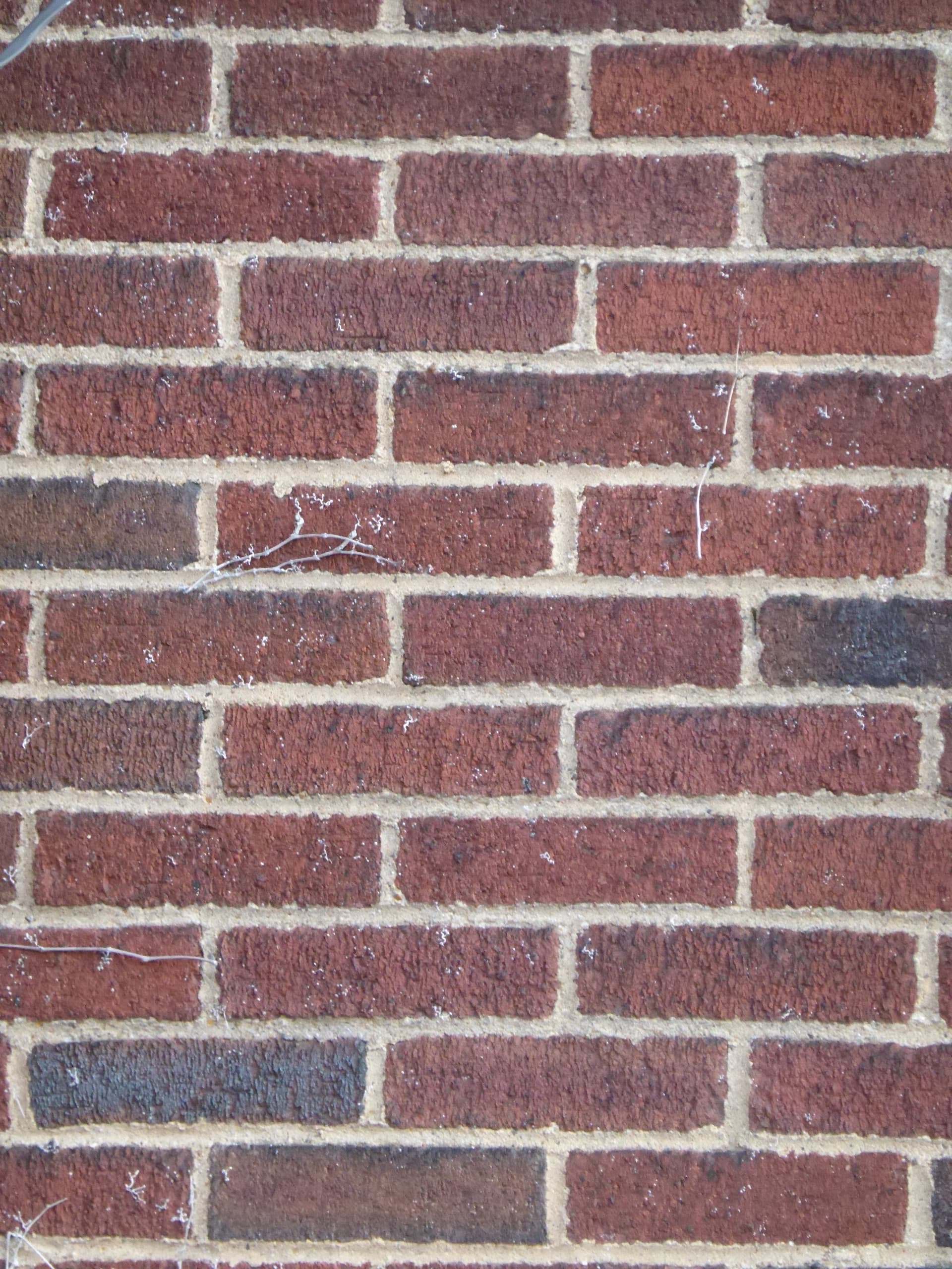 Red-brick-wall-texture-5