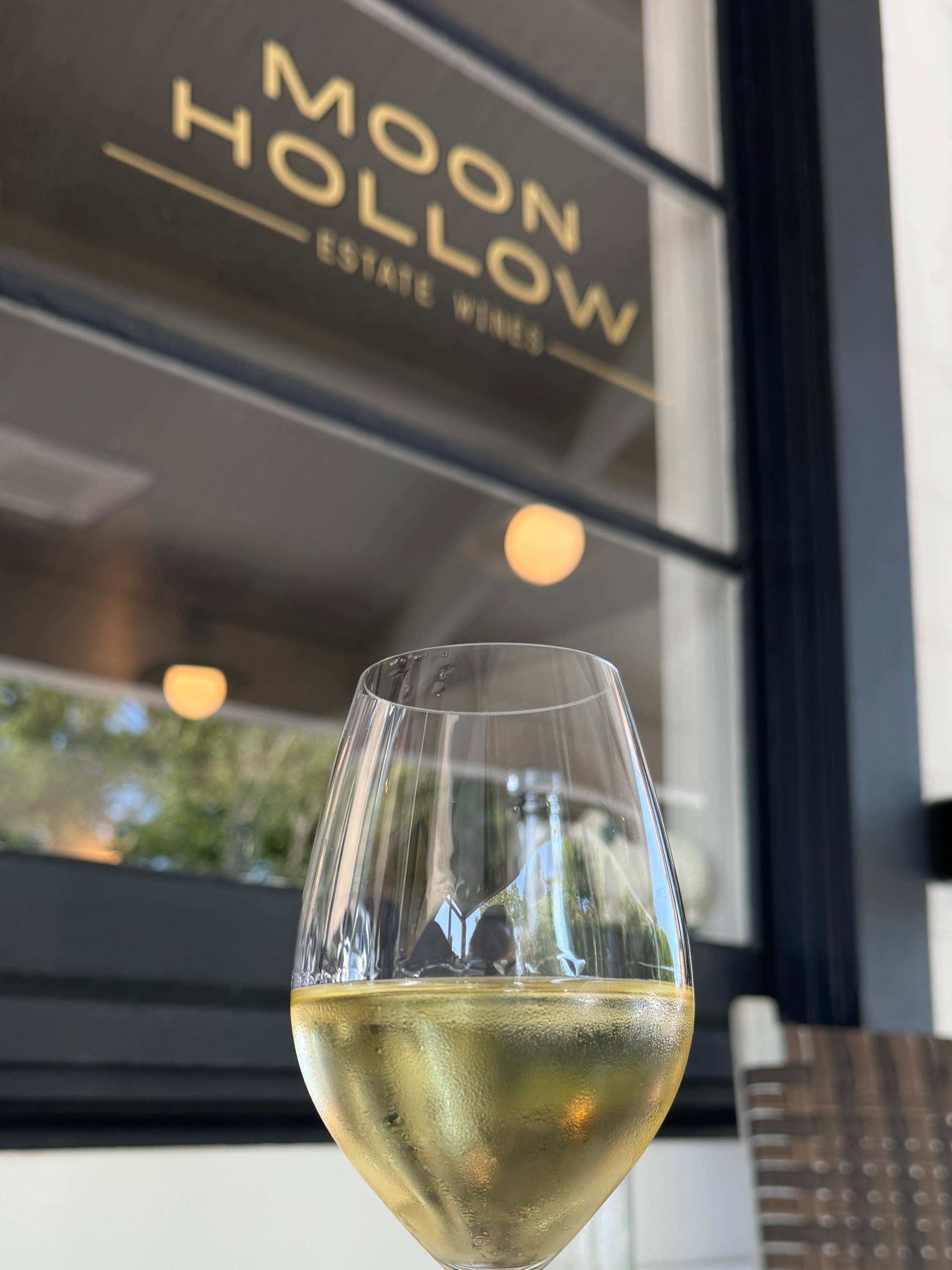 Moon Hollow Estate Wines - July 2024 - Sarah Stierch 05
