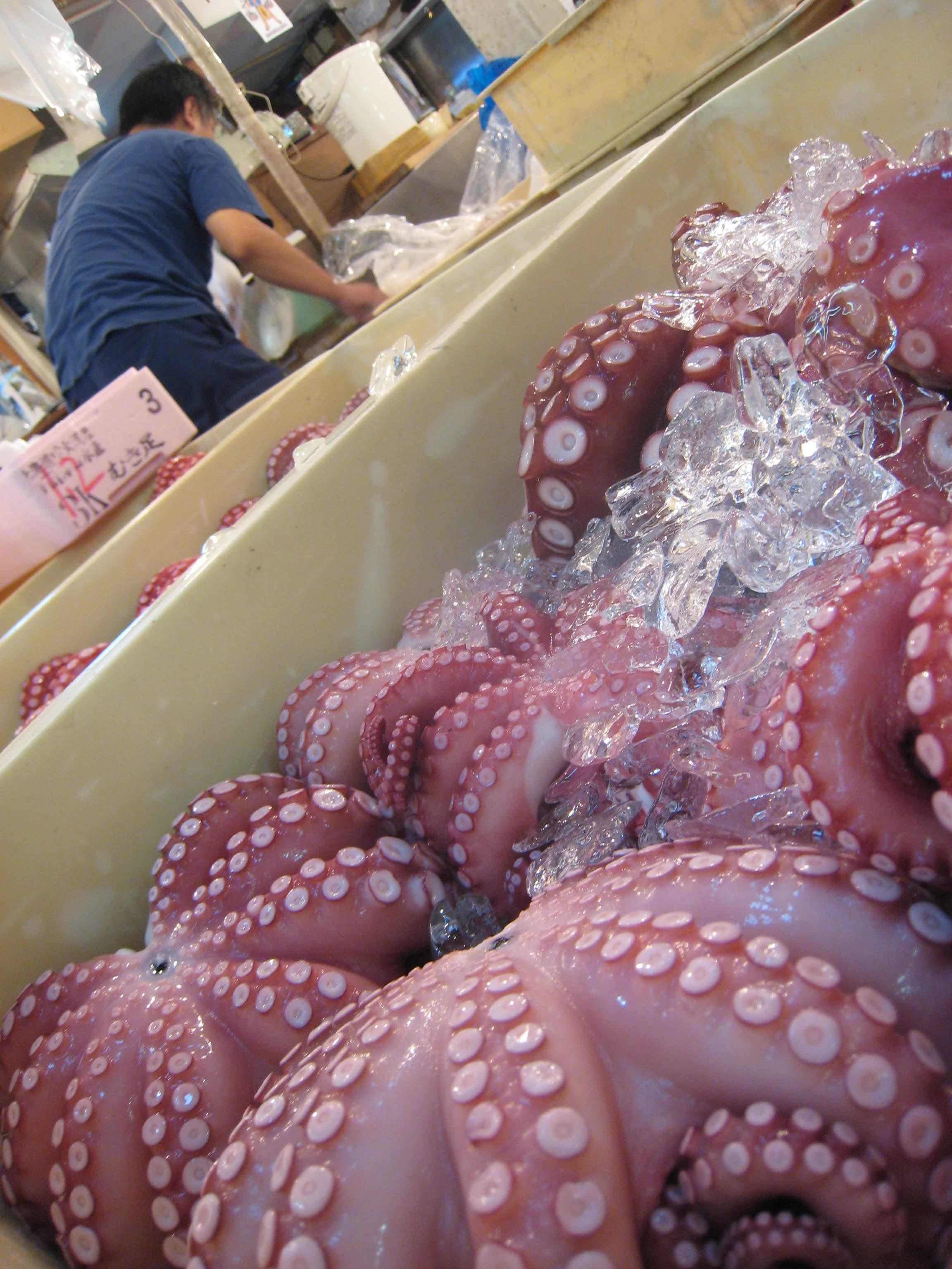 August 2007 Tsukiji fish market 24