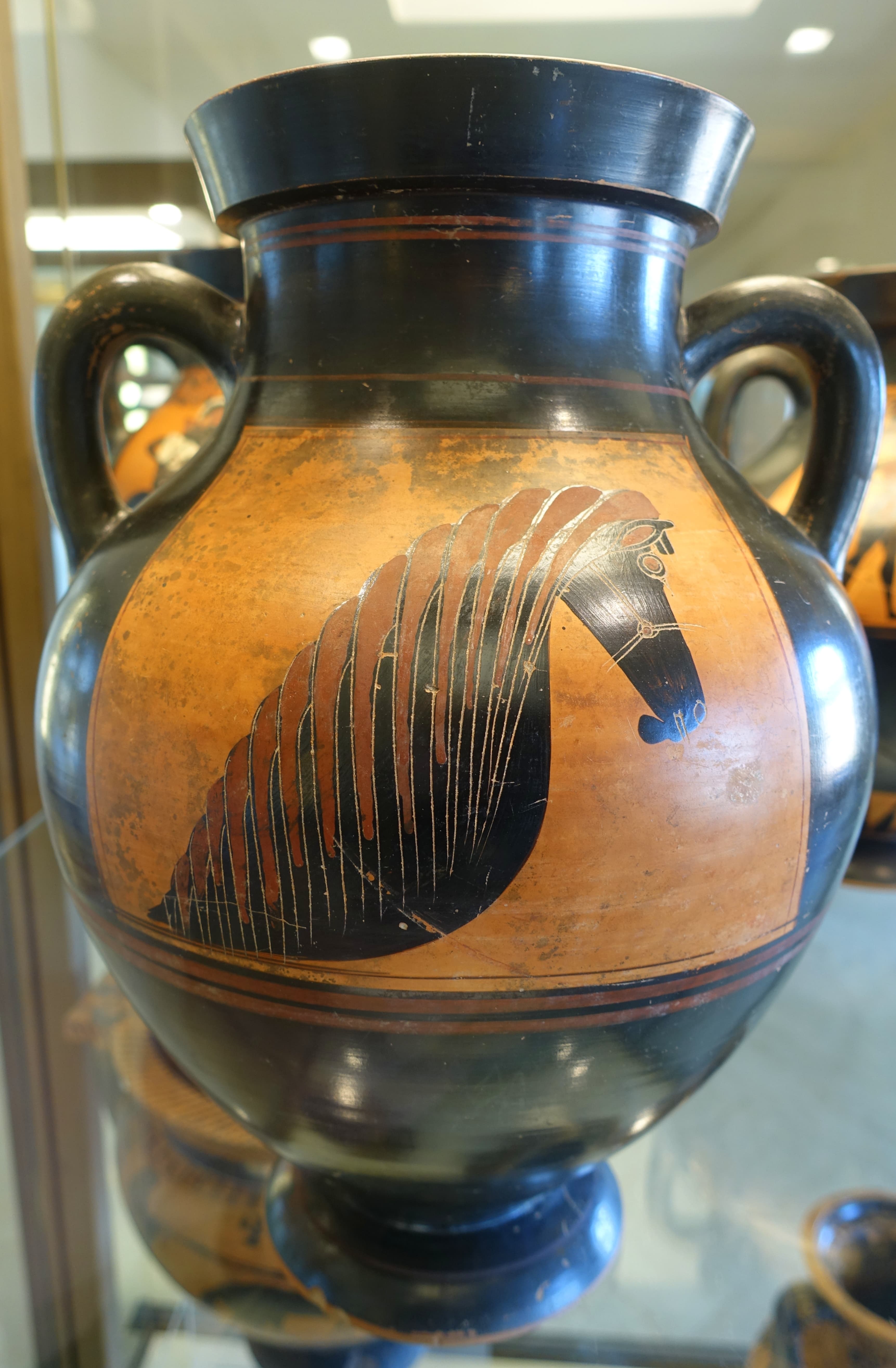 Horse, head, amphorae