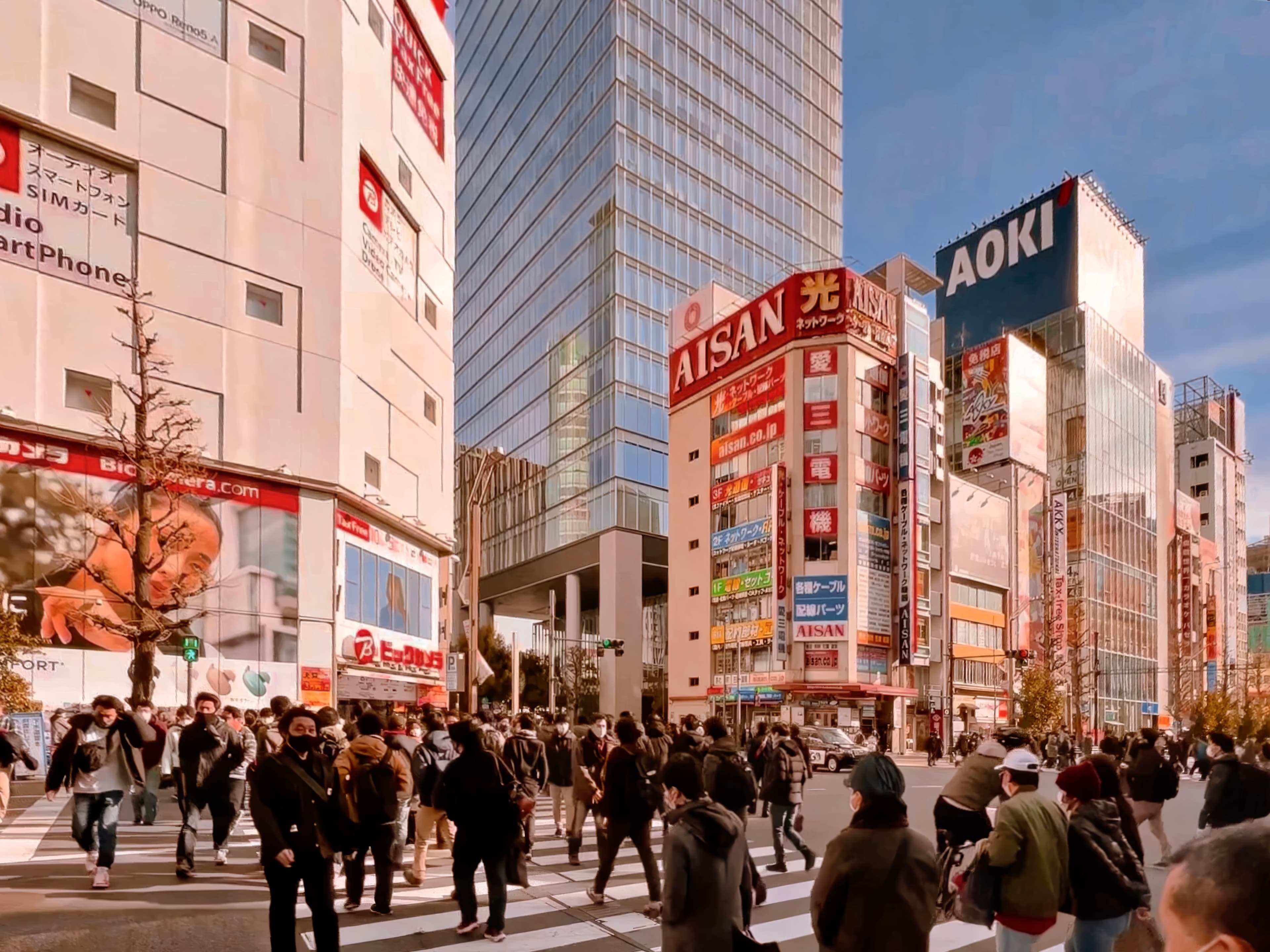 Pedestrians Crossing, Akihabara, Tokyo, Japan