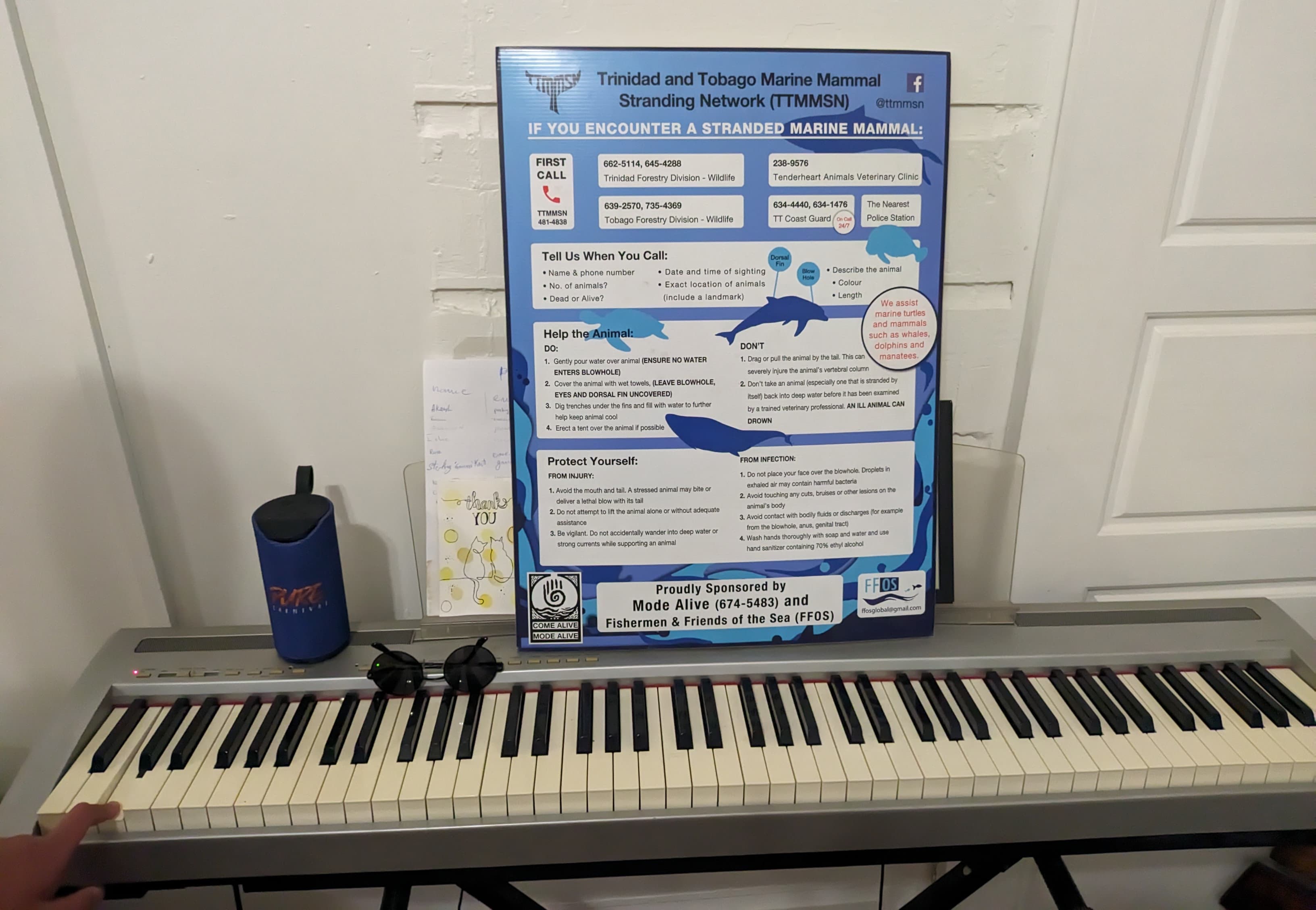 Trinidad piano and TT marine mammal stranding network sign
