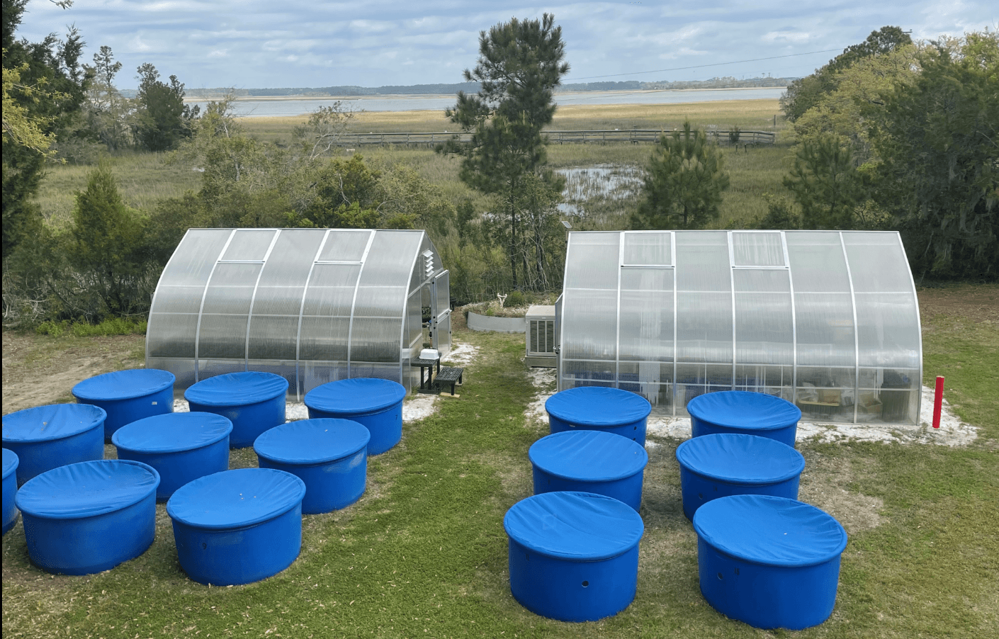 Bears Bluff NFH greenhouses 30 March 2022
