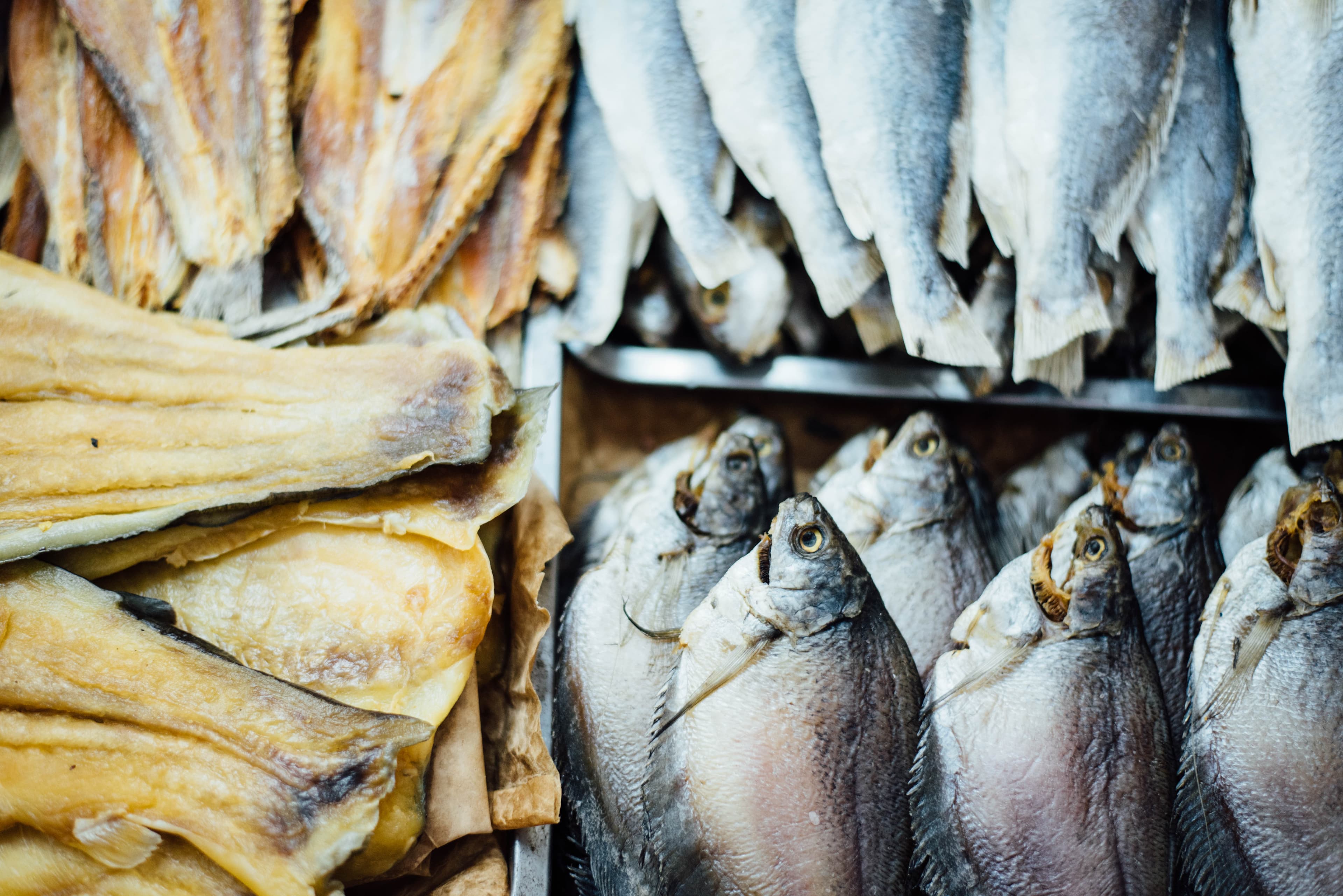 Fish Market (Unsplash)
