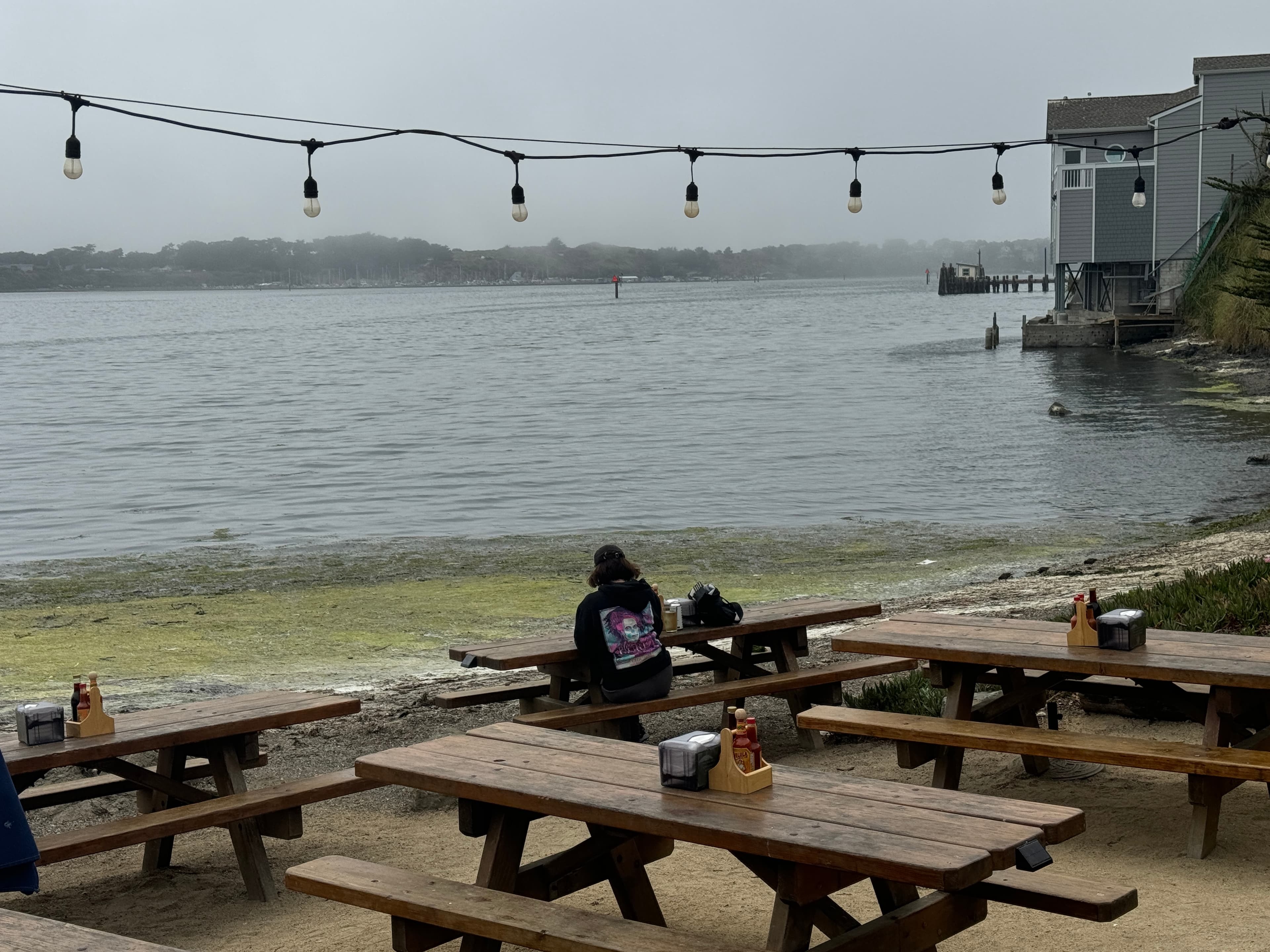 Fishetarian Fish Market - August 2024 - Sarah Stierch 02