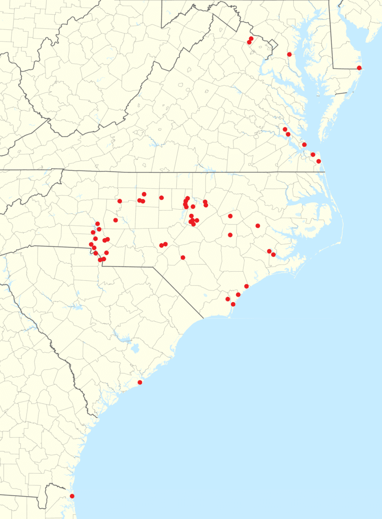 Harris Teeter footprint 2020-12 fuel