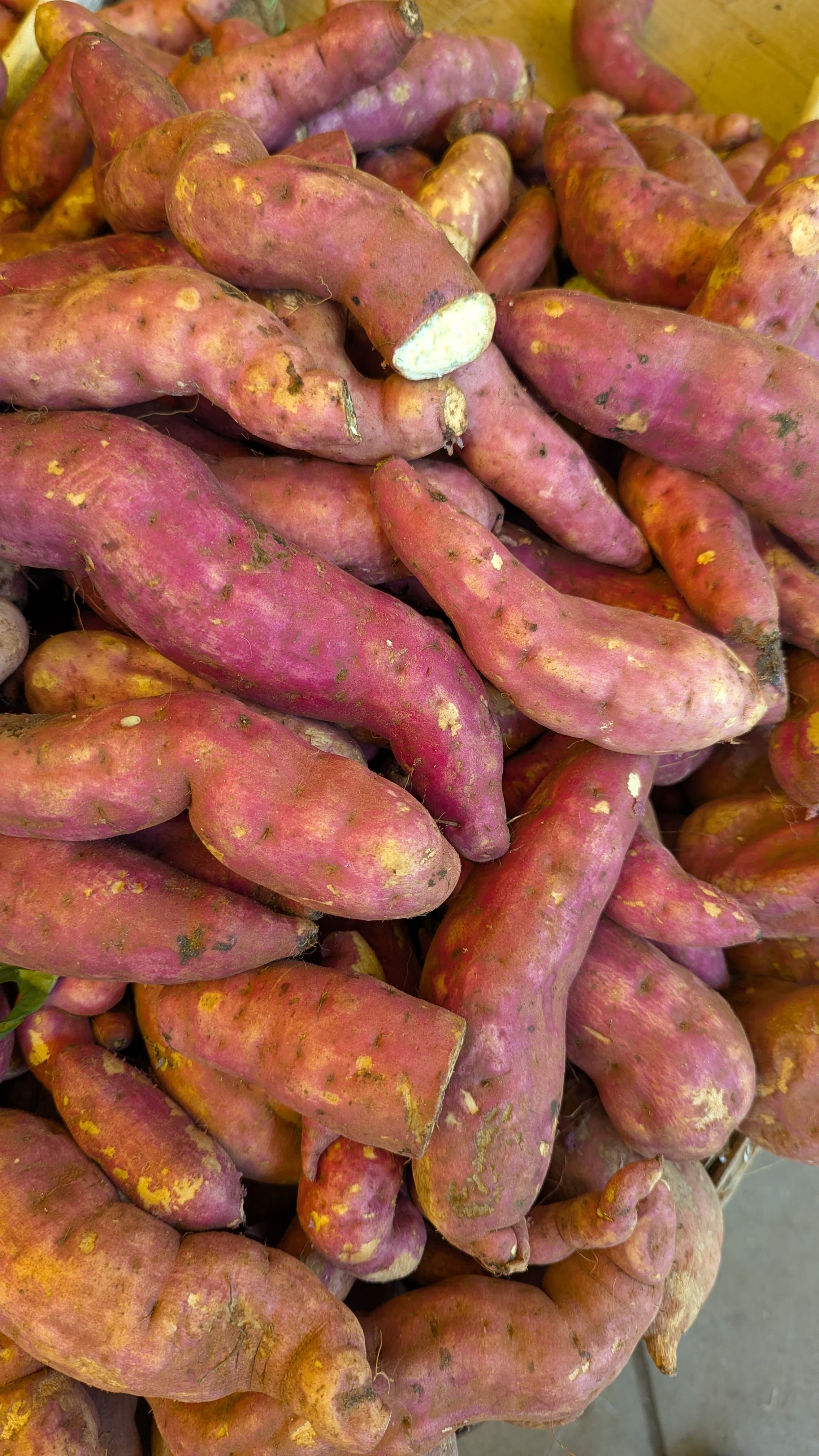 Rythu Vegetables market, Hyderabad 19