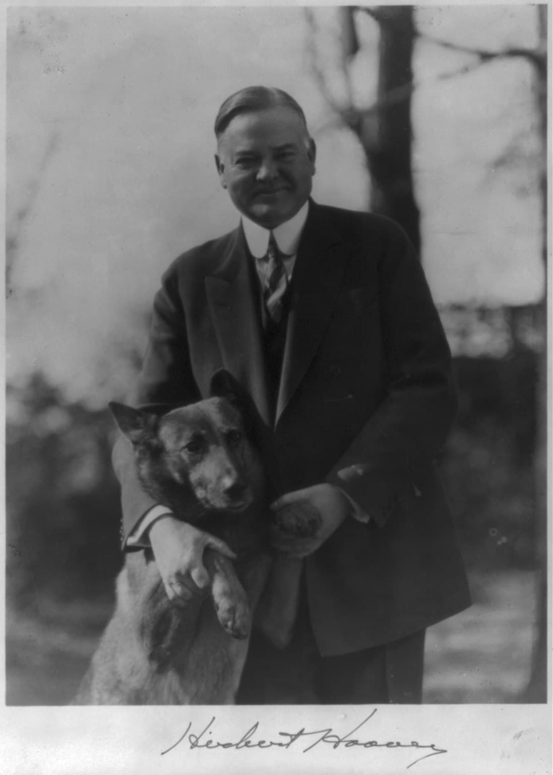 Herbert, hoover, notice
