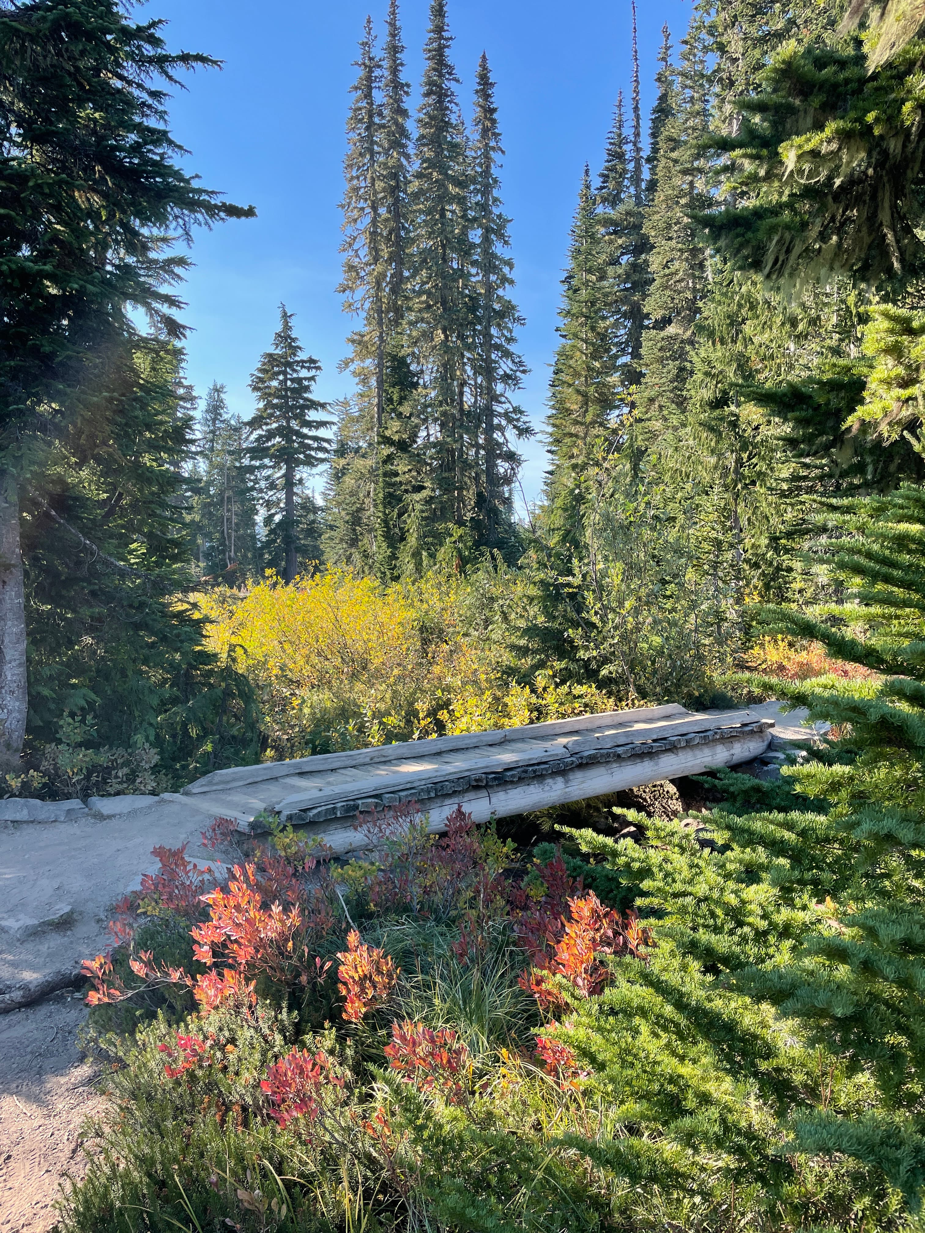 Mount Rainier - HCP - October 17, 2022 - 053 - Reflection Lake