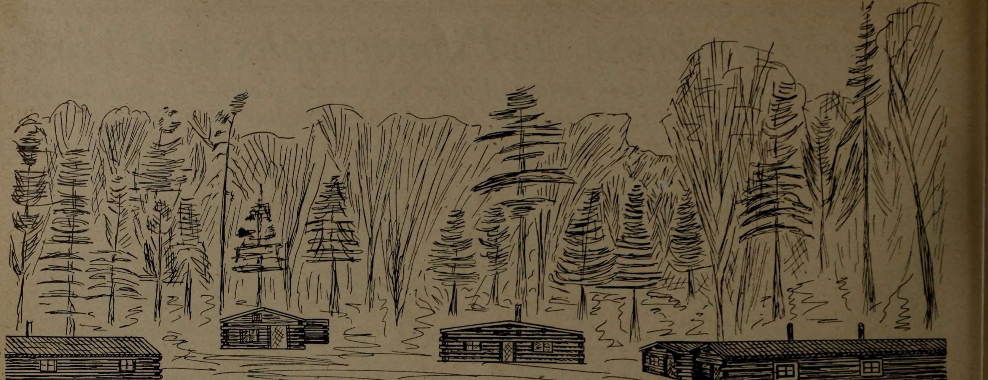 Canadian forest industries July-December 1919 (1919) (20522032552)