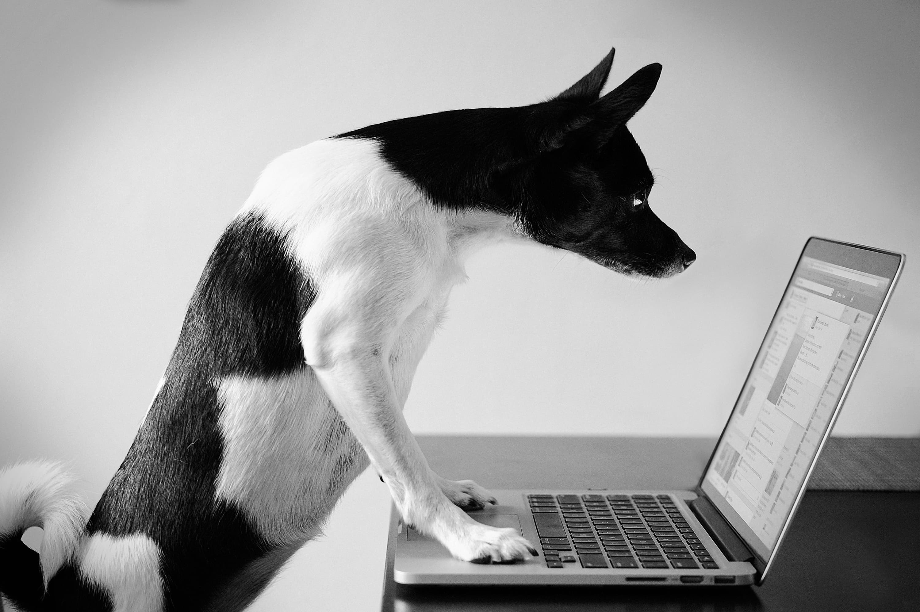MPOTY 2014 Social media opens doors for meeting new people