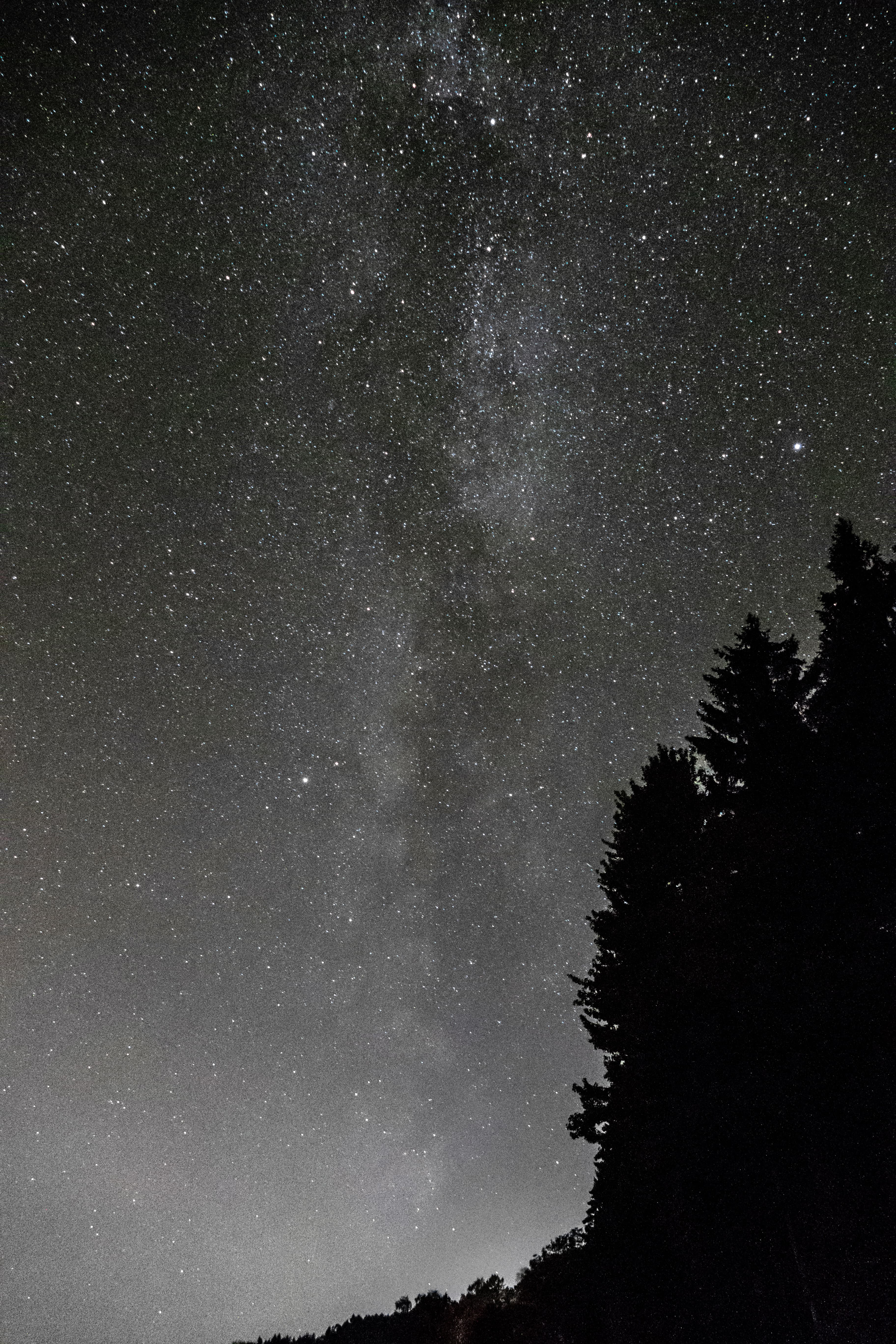 Stars and Milky Way at Holma Marina 3
