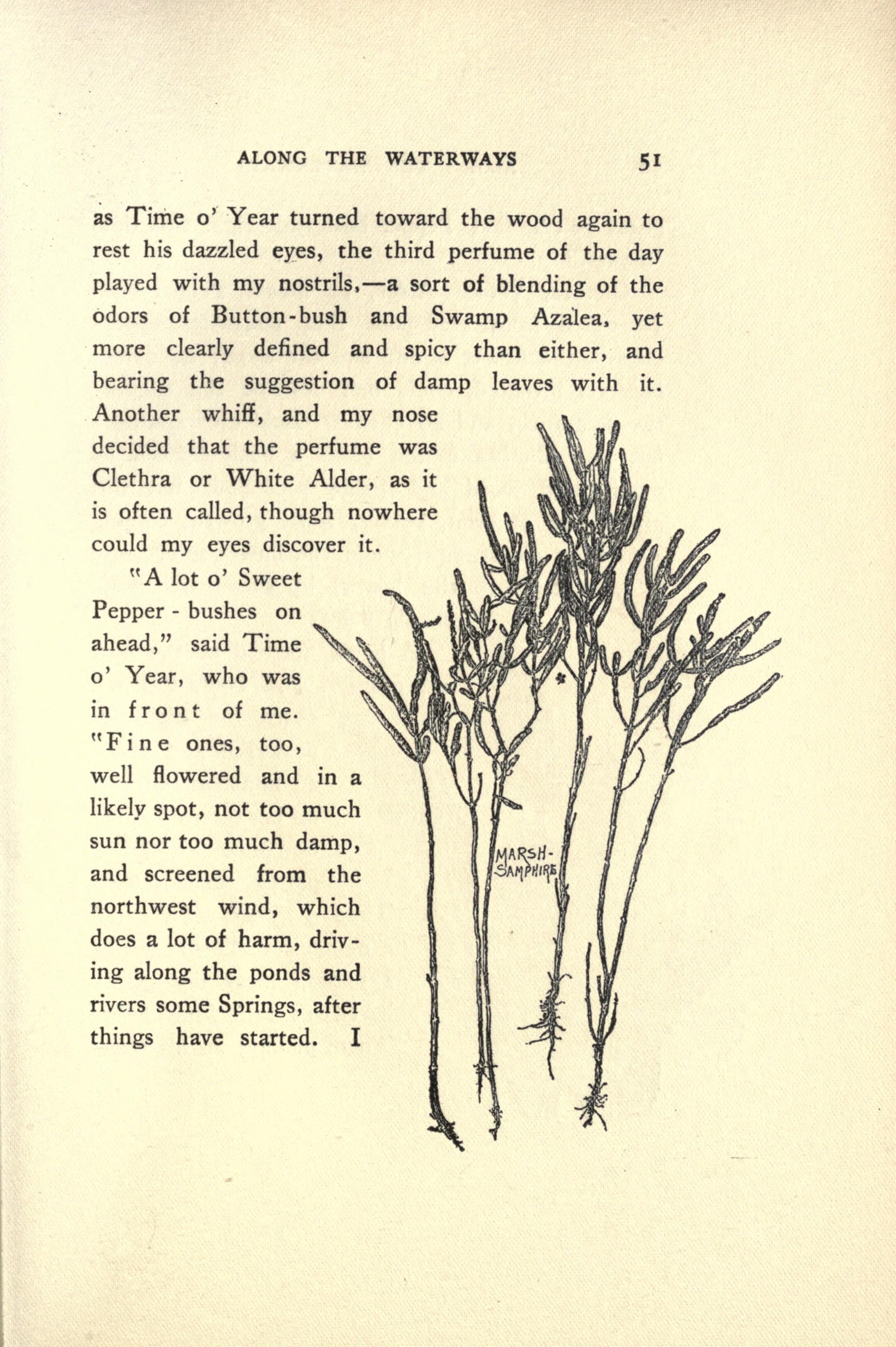 Flowers and ferns in their haunts (Page 65) BHL17163362