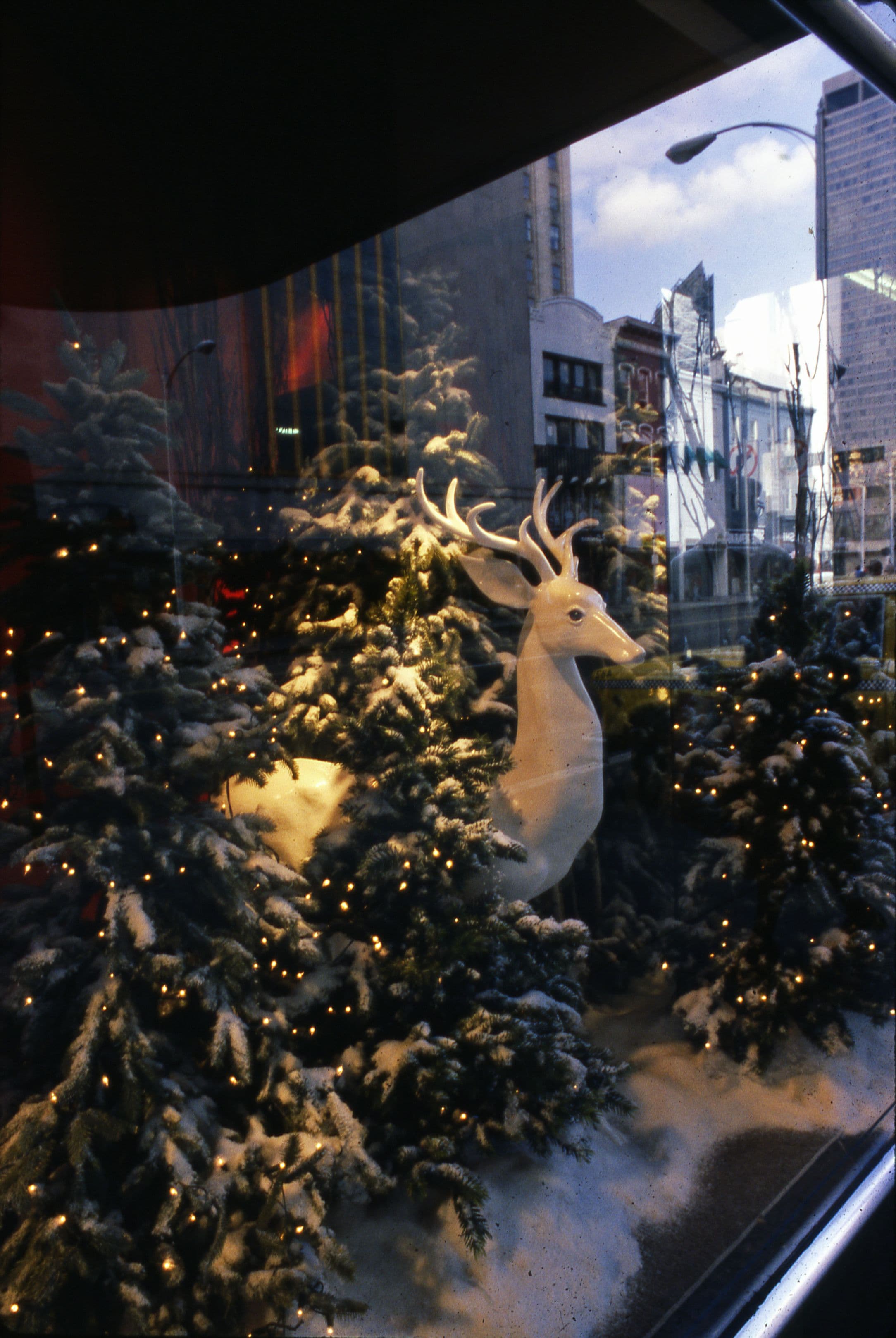 Lazarus Window Display - DPLA - fca36818b3a873d9fa9d6b6b159d6045