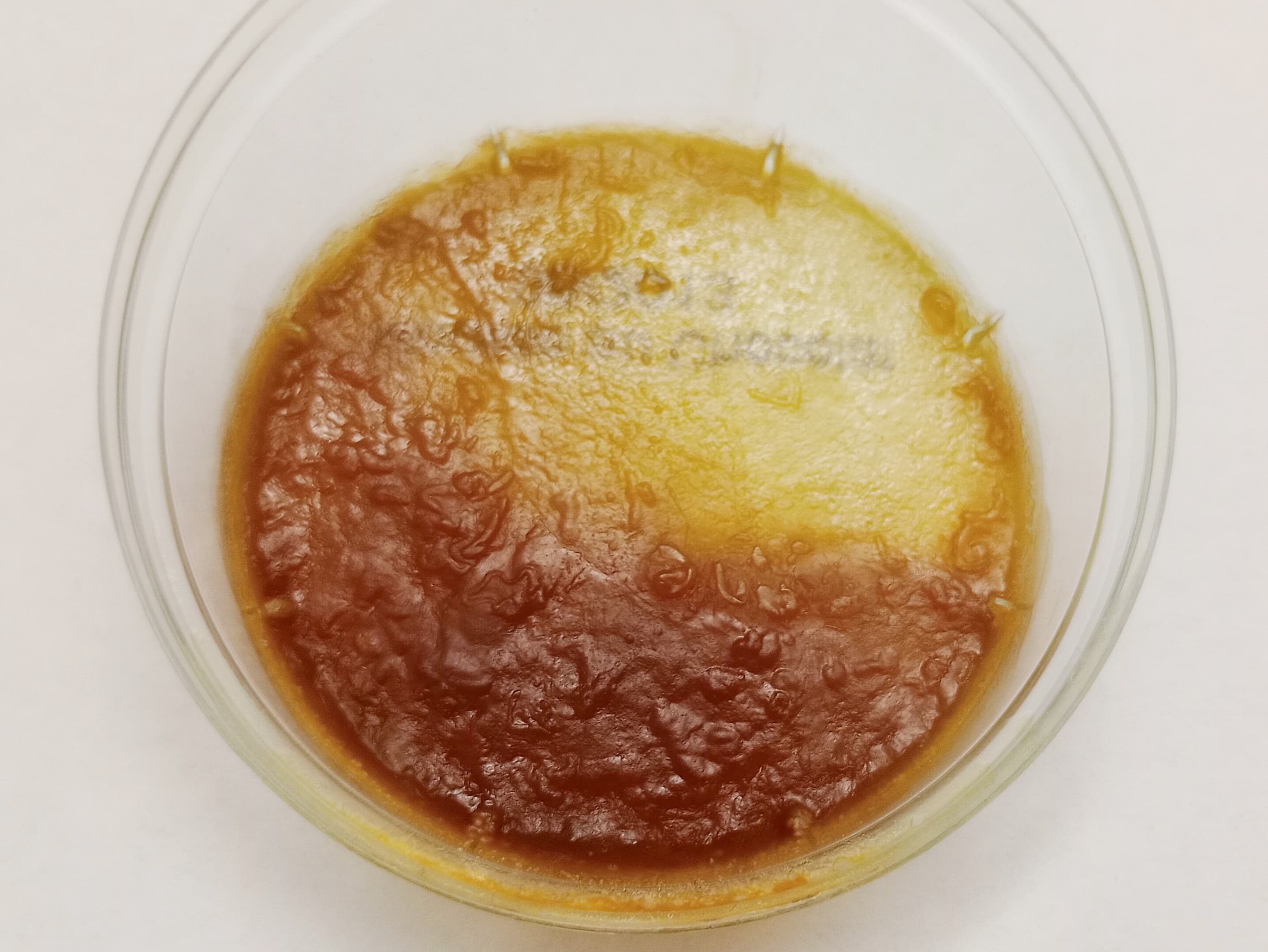 Human dried semen in a small dish with a diameter of 6 cm