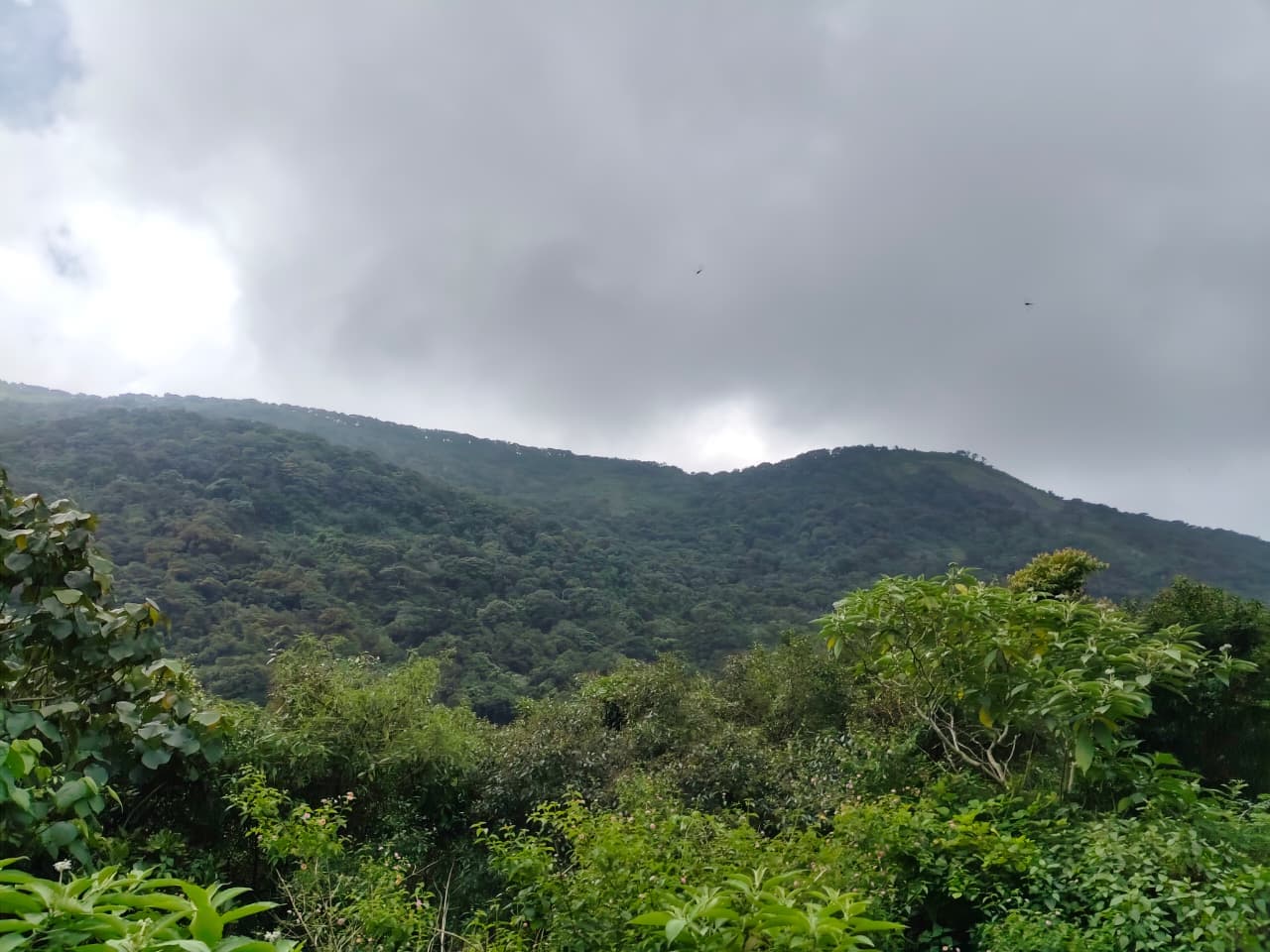 Mountain landscape in kerala