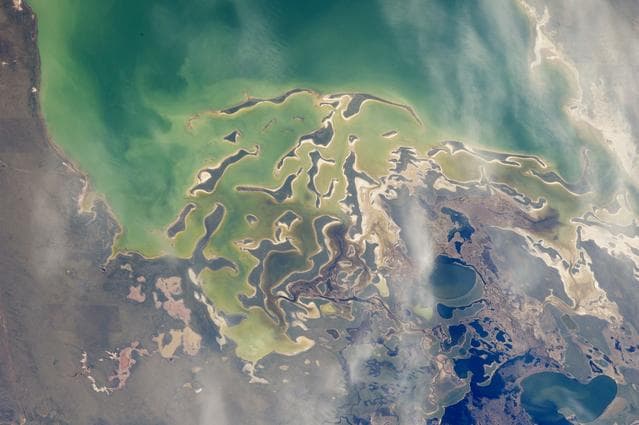 Lake Tengiz from space