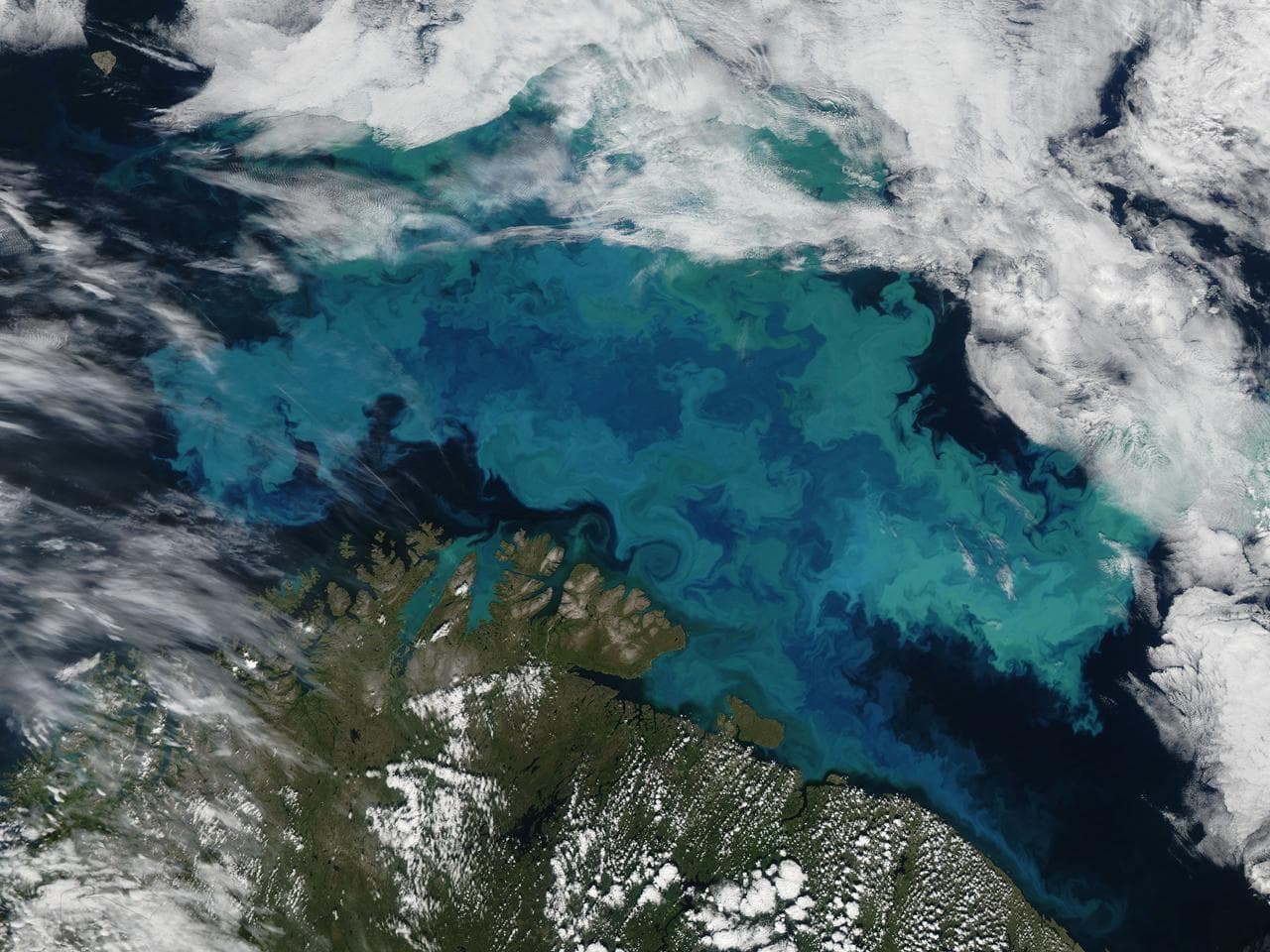 Barents Sea