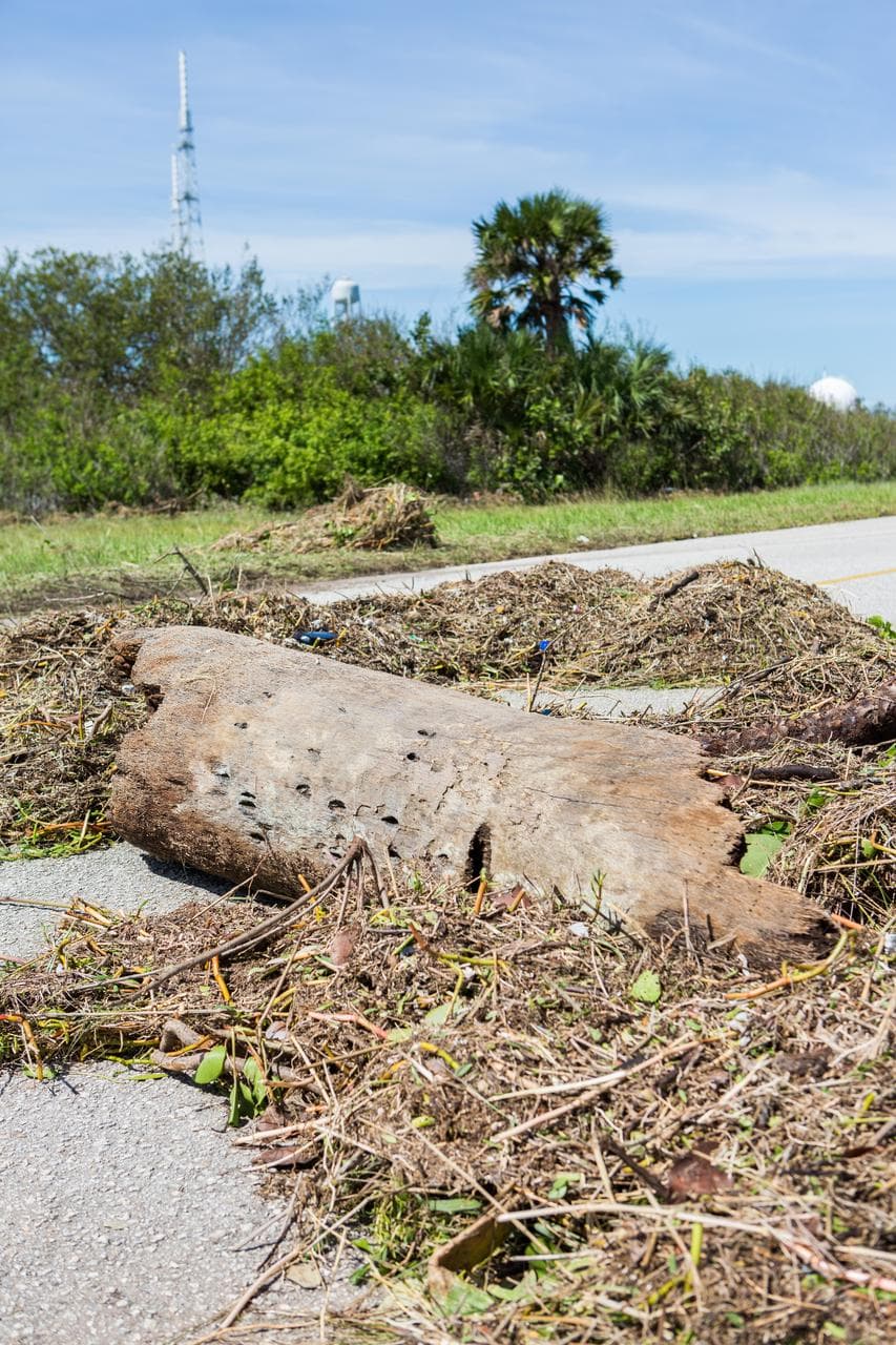 Hurricane Matthew Damage Survey