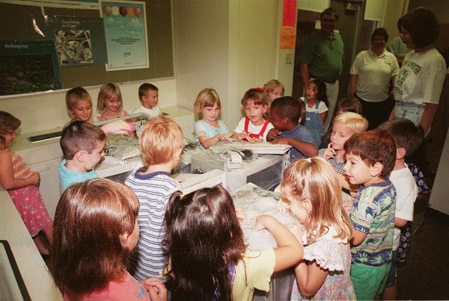 Children, coquina, elementary