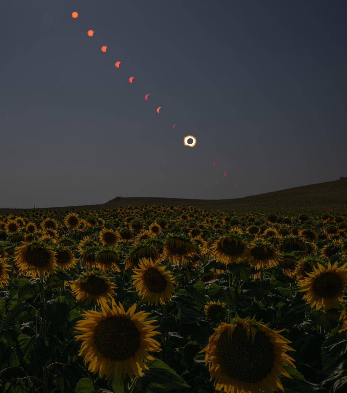 2026 Total Solar Eclipse