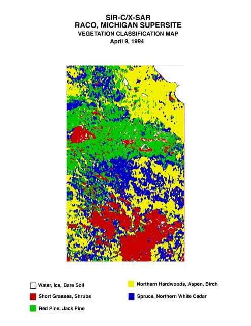 Space Radar Image of Raco Vegetation Map