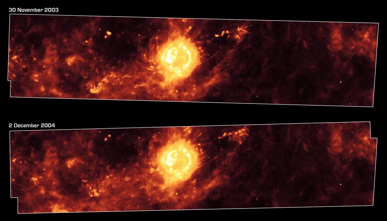 A Year in the Life of an Infrared Echo