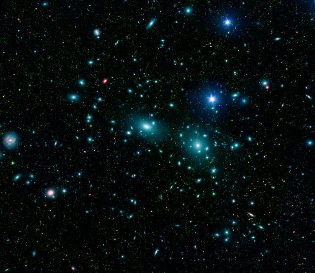 Dwarfs in Coma Cluster