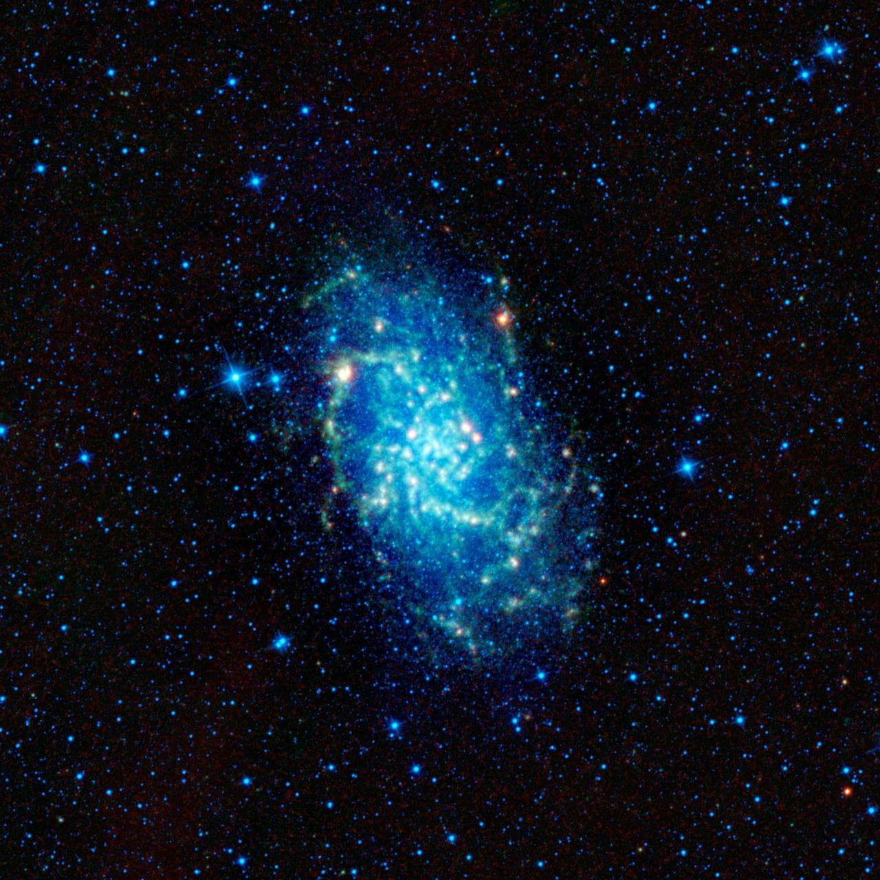 WISE Spies a Galactic Neighbor
