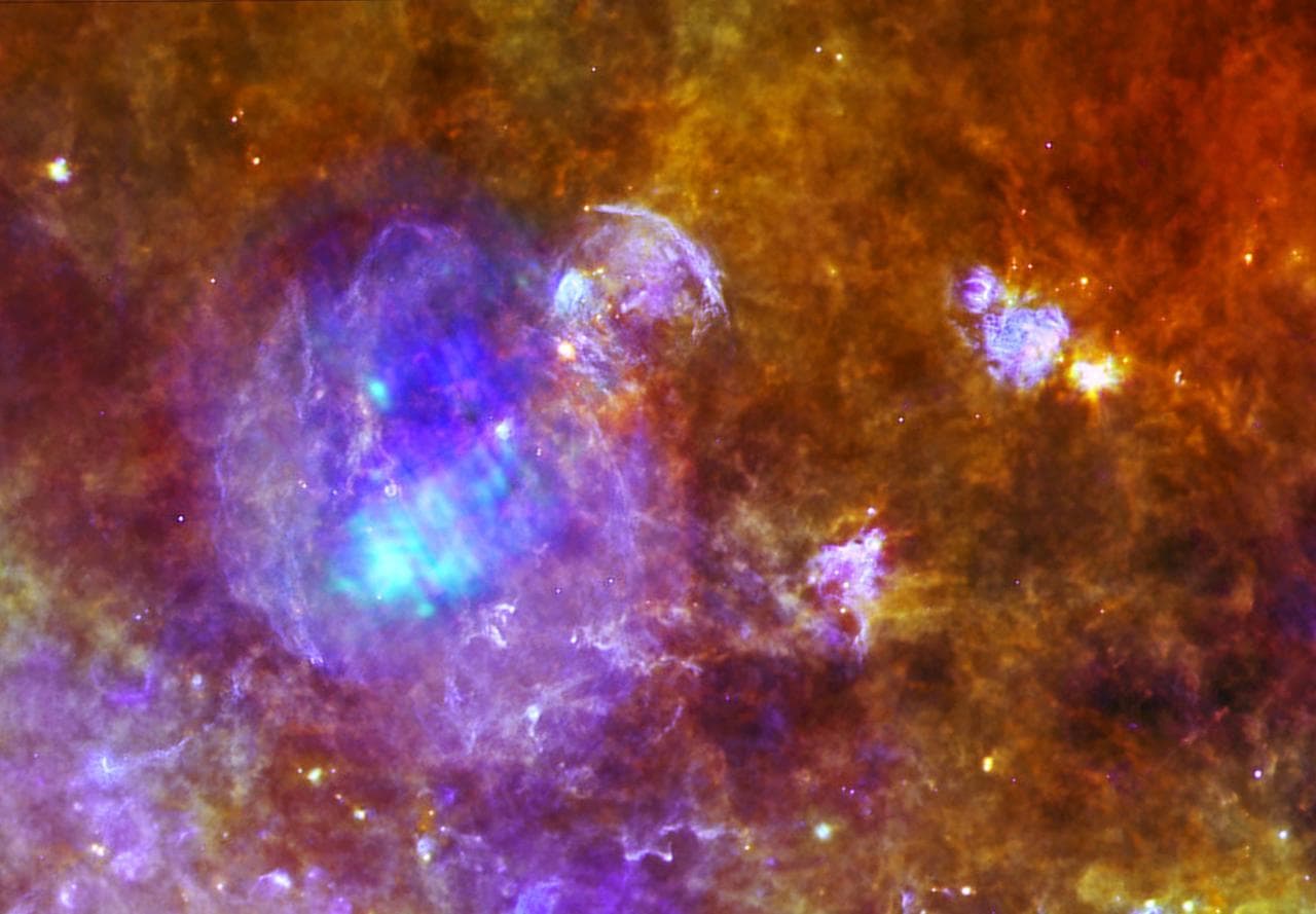 Life and Death in a Star-Forming Cloud