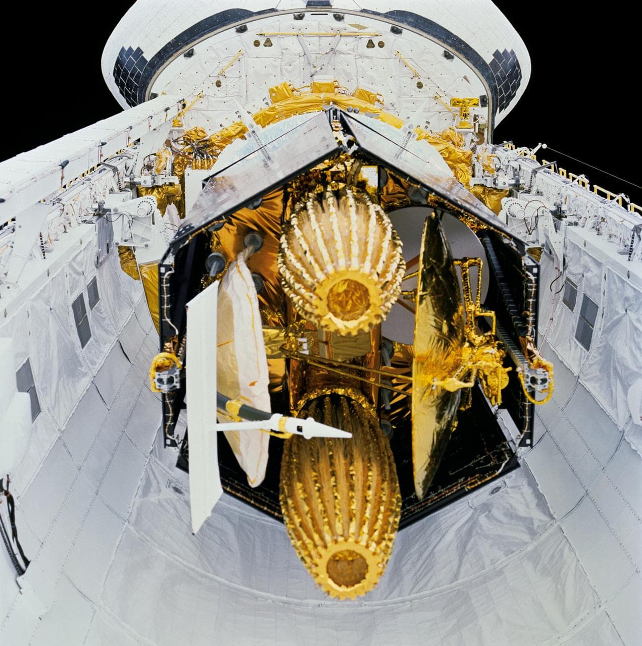 Discovery, orbiter, payload