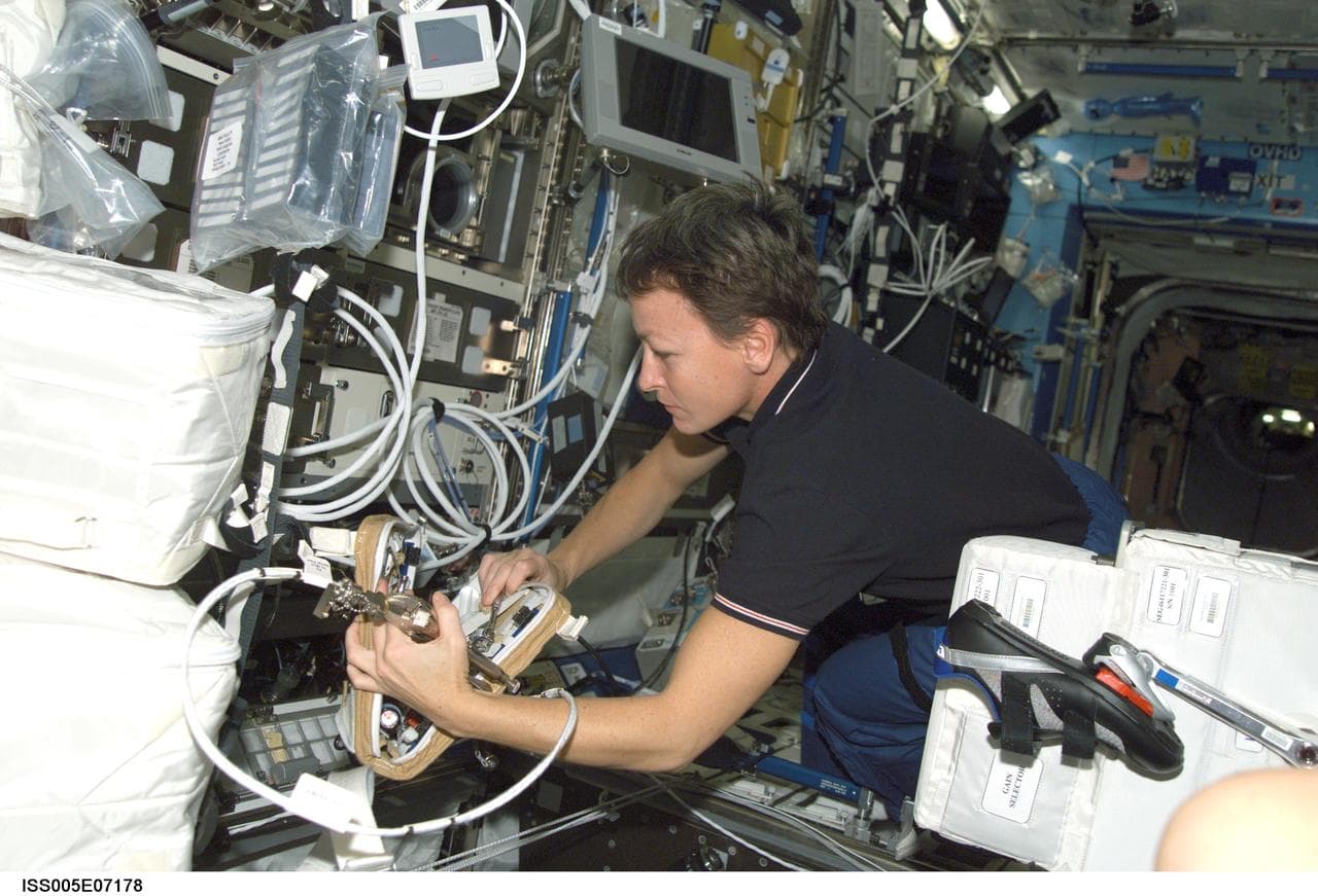 Whitson works at the MSG in the U.S. Laboratory during Expedition Five