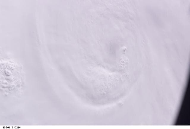 Earth Obsersation taken by the Expedition 11 crew