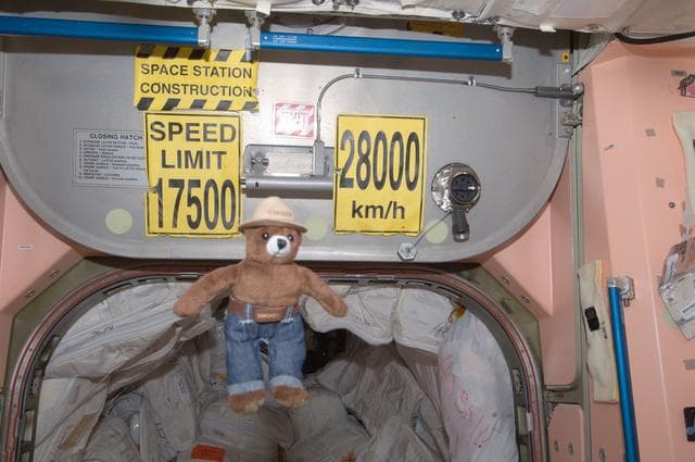 Smokey the Bear Toy in the Node 1
