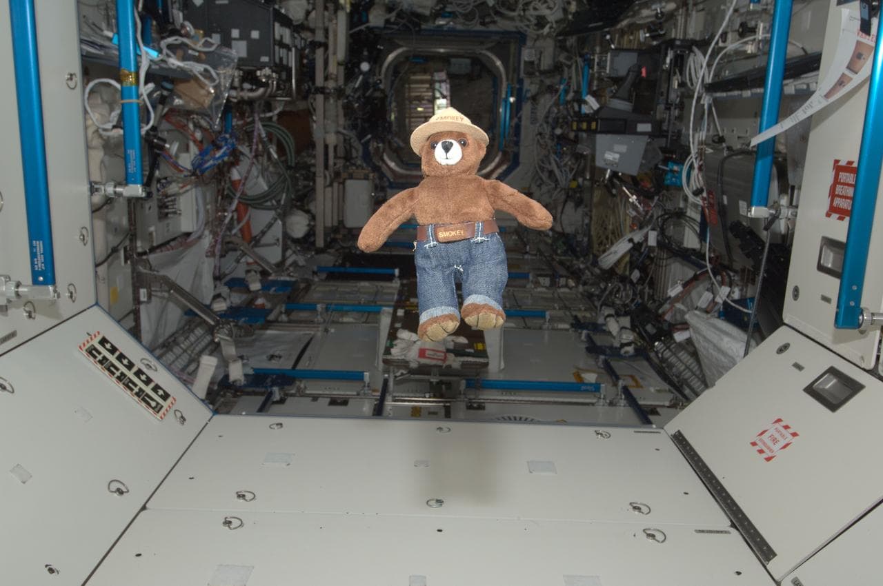 Smokey the Bear Toy floating in the Node 1