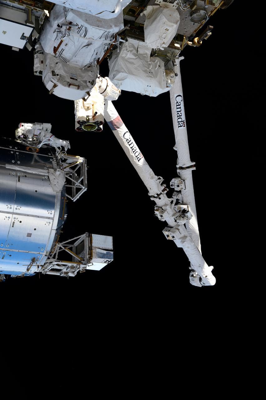 Astronaut, michael, hopkins