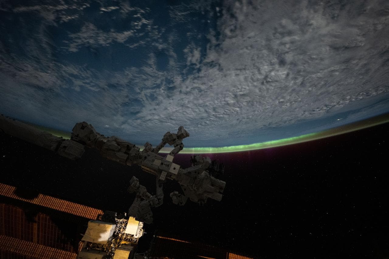 Sept, aurora, crowns
