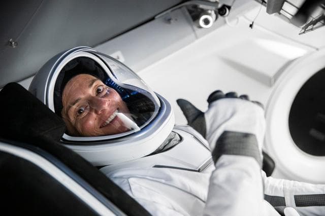 June, spacex, crew