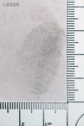 Latent Print (Printer Paper)