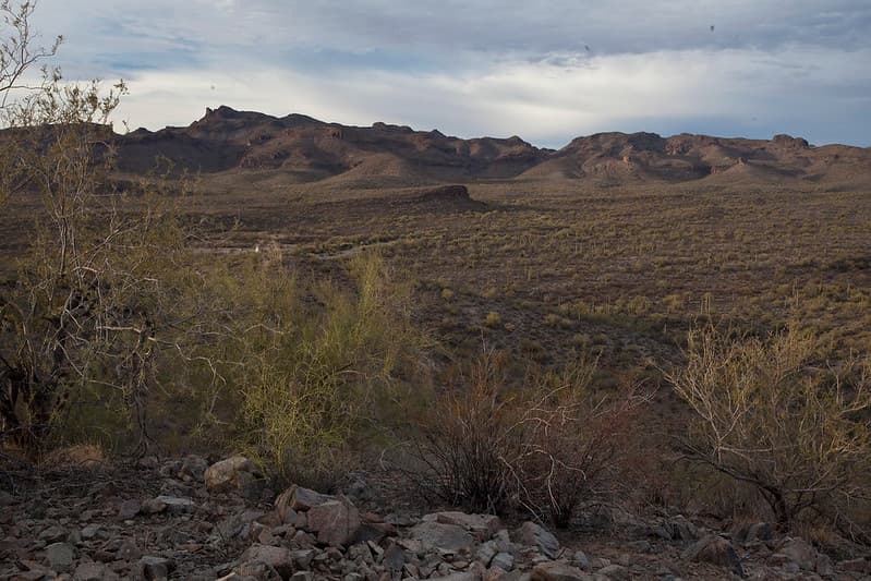 Sonoran Desert National Monument