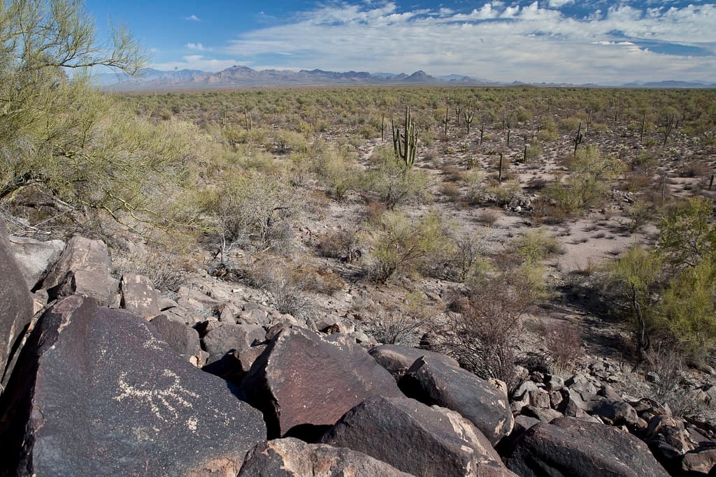 Ironwood Forest National Monument