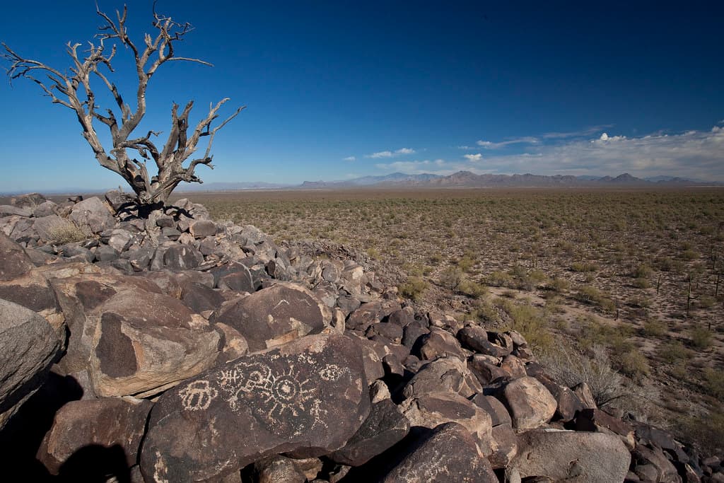 Ironwood Forest National Monument