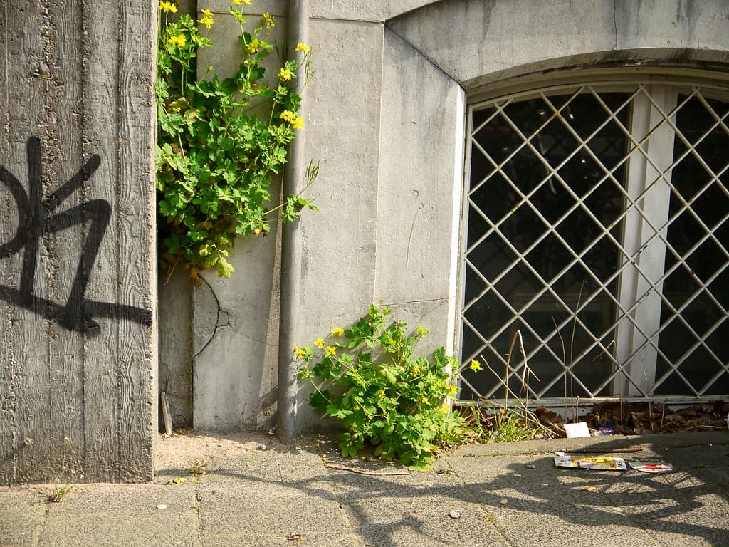 Alley, amsterdam, amsterdamcity