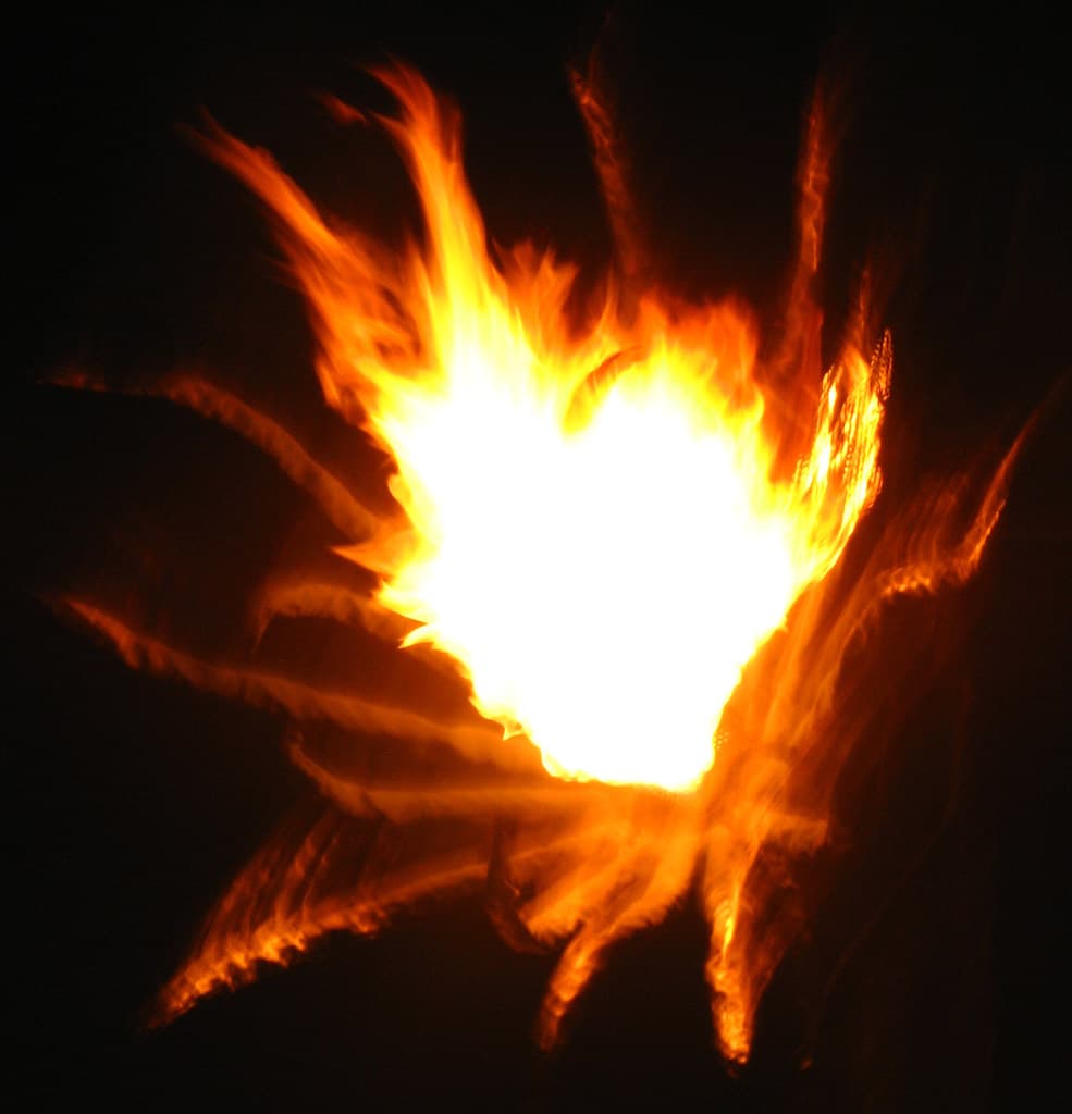 Flame abstract 5 (fireflower)