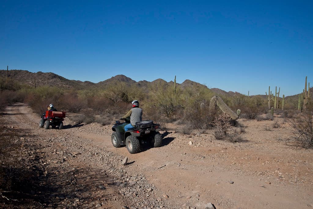 Ironwood Forest National Monument