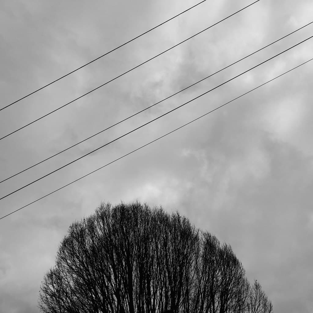 Wires tree